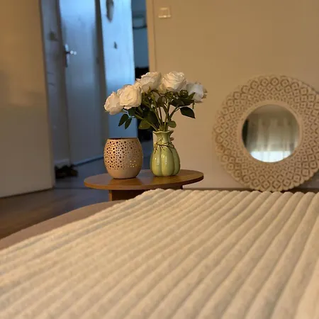 Le Luce - T3 Proche Centre - Parking Apartment